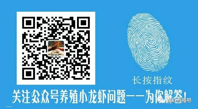 龙虾养殖新技术模式_龙虾养殖业技术_龙虾养殖业技术规程
