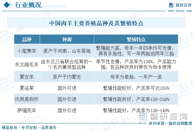 智研咨询重磅发布！2023年中国肉羊养殖行业市场分析报告