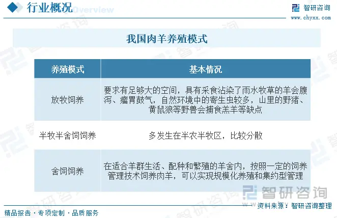 肉羊养殖新技术_肉羊的养殖技术与管理_肉羊饲养管理技术