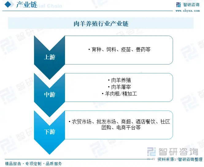 肉羊的养殖技术与管理_肉羊饲养管理技术_肉羊养殖新技术