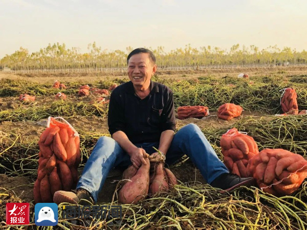 滨州博兴：疫情之下 一个小村庄的致富经