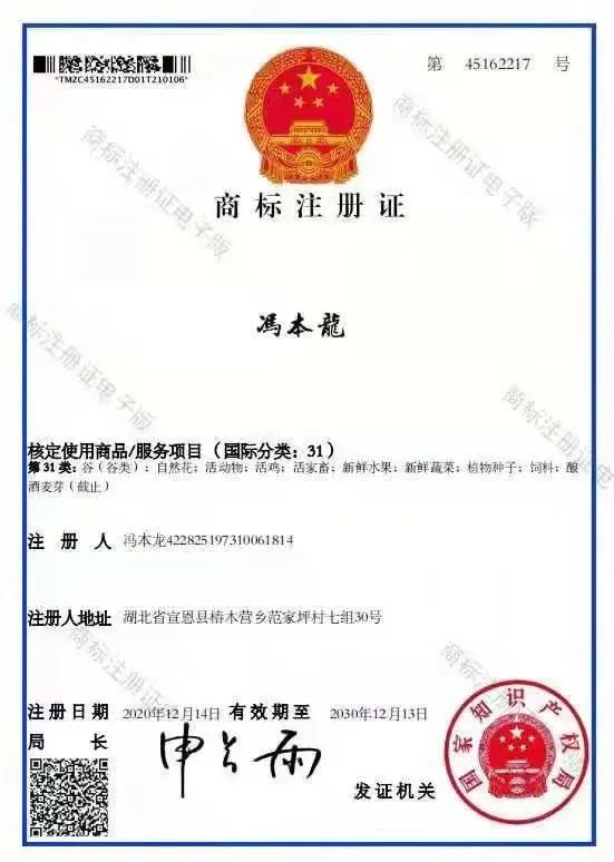 土鸡养殖技术网_养殖土鸡视频全集视频播放_土鸡养殖技术下载
