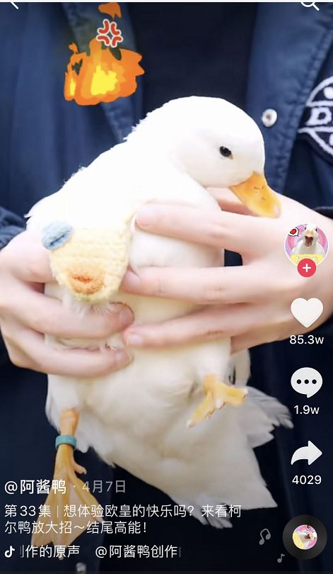 500