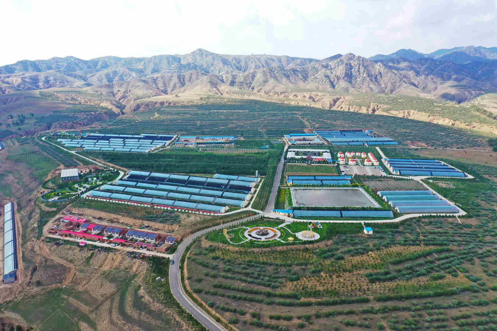 致富经养殖大棚养鸡视频_养鸡场大棚养殖的视频_大棚养鸡视频大全