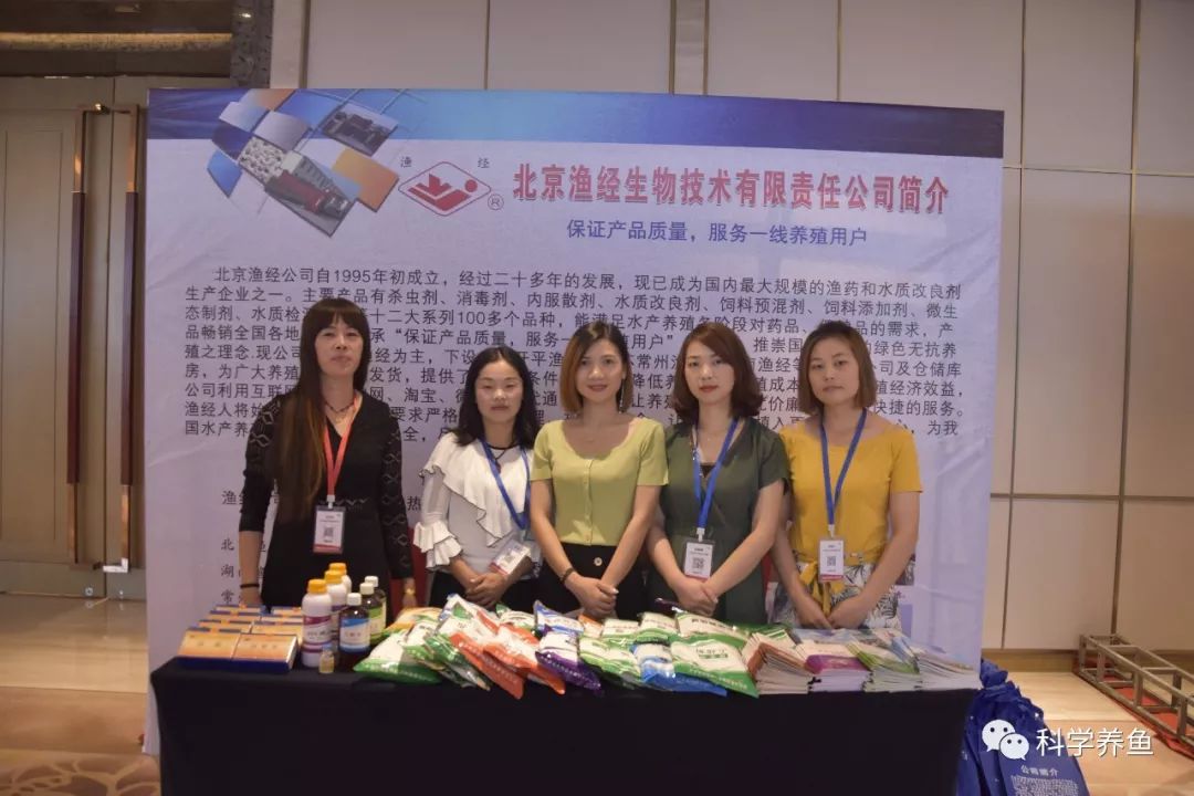 鲫鱼养殖成功案例_养殖鲫鱼工程技术方案_工程鲫鱼养殖技术