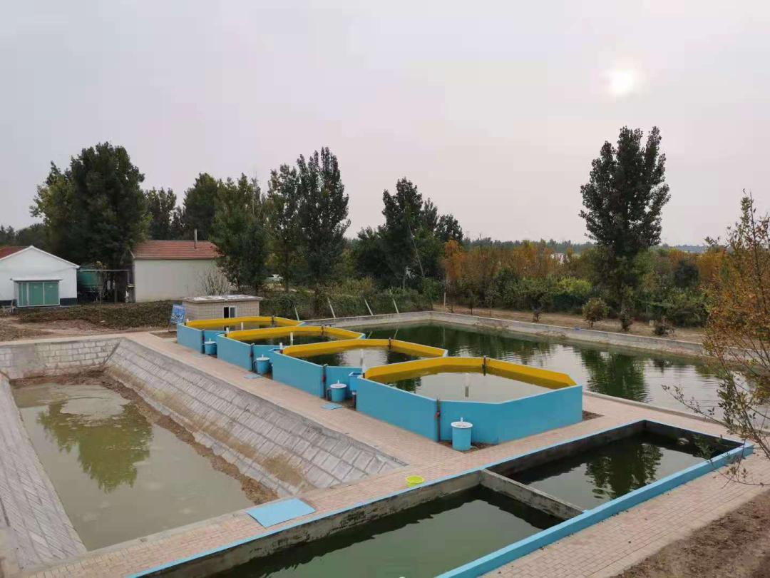龙虾养殖场地的建设视频_小龙虾工厂化养殖技术视频_小龙虾的工厂化养殖技术
