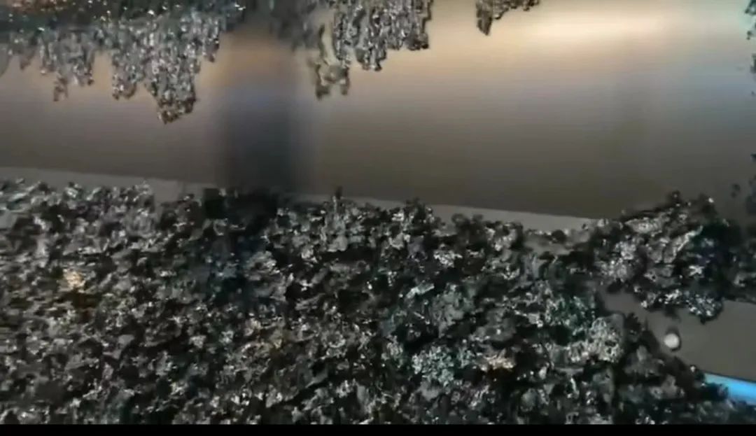 枸杞种植方法技术与管理_枸杞的种植技术方法_枸杞种植方法步骤