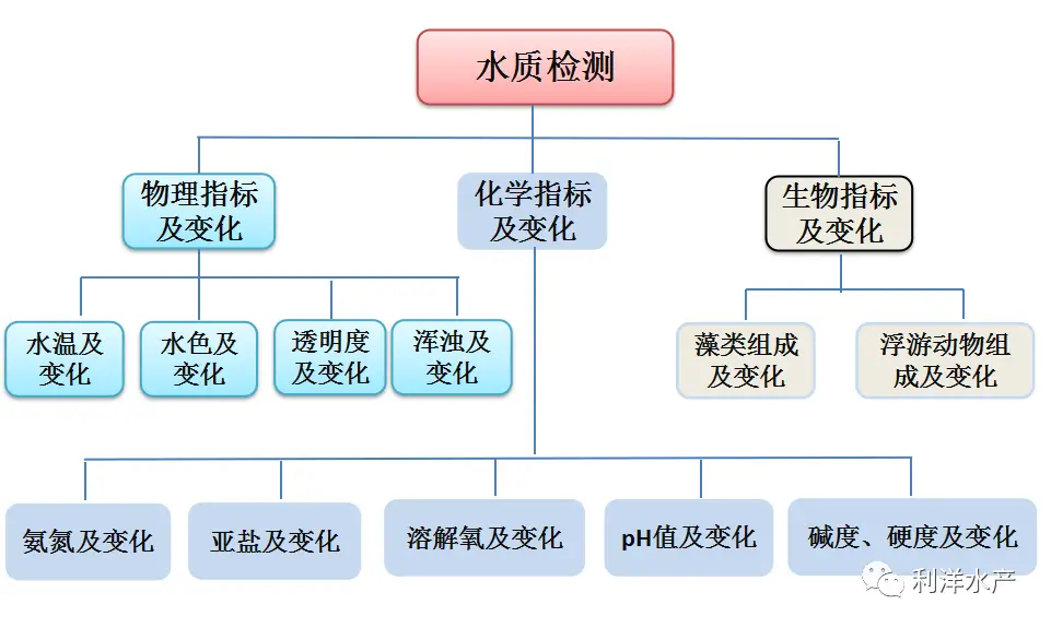海水养殖海参_北方淡水海参养殖技术_淡水海参养殖北方技术怎么样