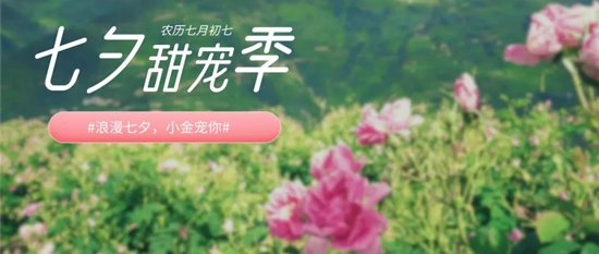 农民种植致富花_致富种植农民花的意义_致富种植农民花生