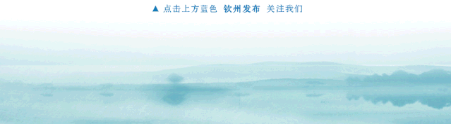 喜报！“融媒体中心的钦州探索”荣膺“优秀项目”