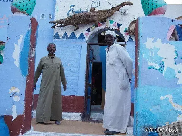 致富经鳄鱼养殖视频_养殖鳄鱼致富视频_鳄鱼养殖场视频