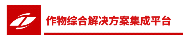 【卓豪技术】“卓豪测土”——大棚栽种甜瓜的技术要点有哪些？你都知道几个？