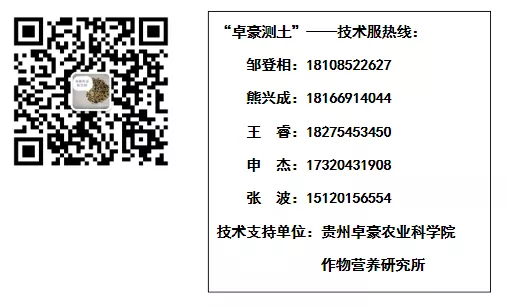 秋季大棚甜瓜种植技术_夏季大棚甜瓜种植技术_秋季大棚甜瓜栽培技术