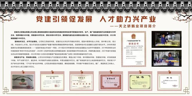 反季节鹅养殖技术视频_养鹅养殖技术视频_养鹅视频大全技术