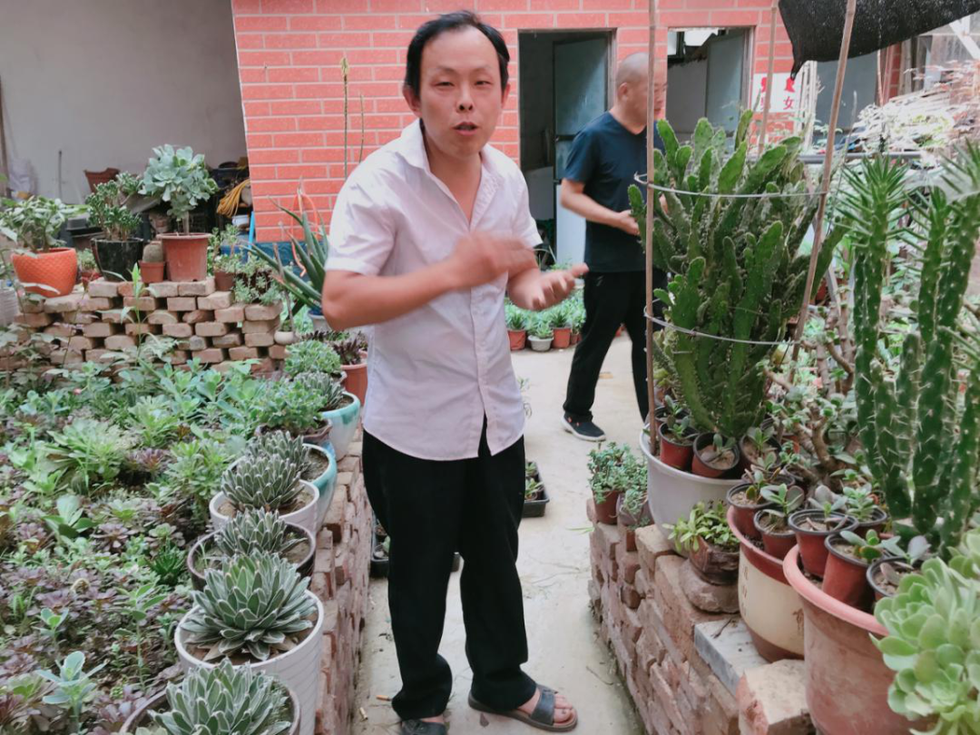 创业种植致富之路_致富之路视频_致富种植视频全集