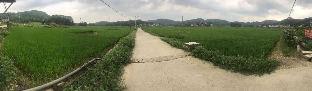 千名记者一线行大型主题采访：柳北区沙塘镇洛沙村