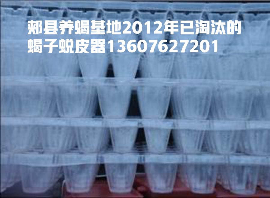 陈超峰的养殖技术_养殖技术教程_养殖技术吧