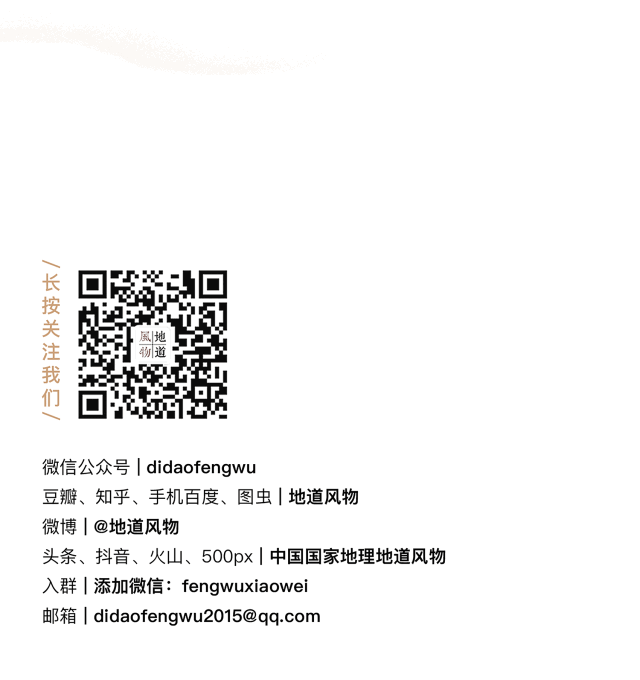 莲藕子种植方法_藕莲子怎么种植_莲子藕的种植技术
