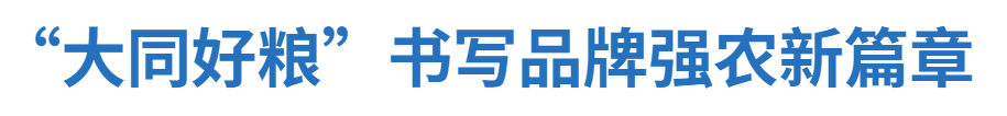 “大同好粮”书写品牌强农新篇章