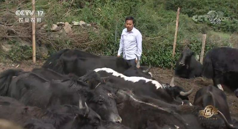 致富出路_致富经毕业_致富之后