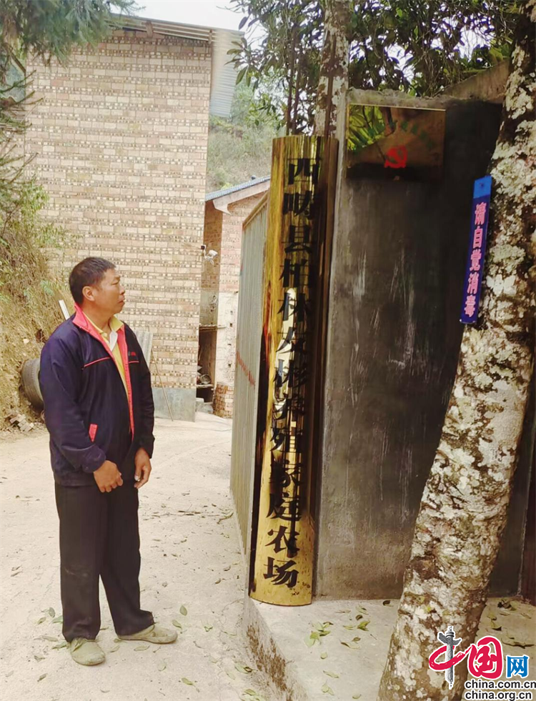 云南致富经_云南大哥种植致富_致富经云南水果大王