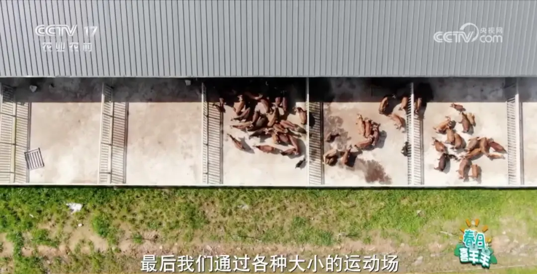 致富经养殖业_养殖致富小店_致富商机网养殖
