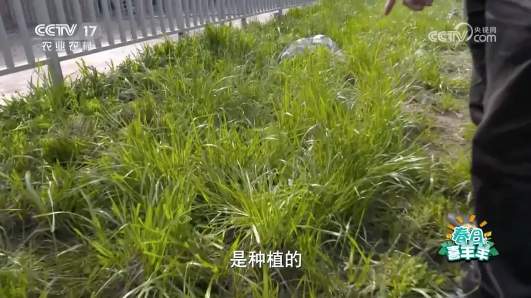 致富商机网养殖_致富经养殖业_养殖致富小店