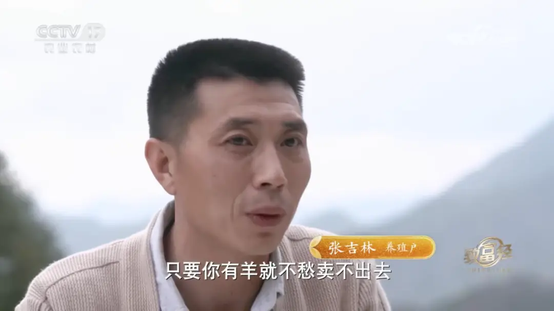 致富商机网养殖_养殖致富小店_致富经养殖业