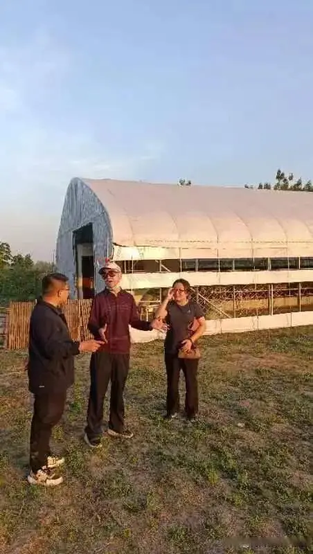 肉羊养殖技术指导方案_肉羊养殖技术教材_肉羊高效养殖管理技术