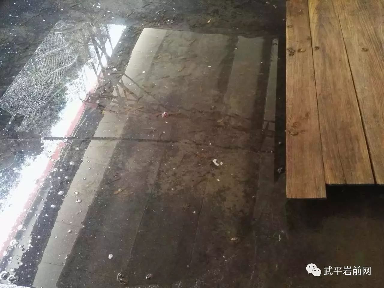 养殖面包虫赚钱吗_养殖面包虫这个全过程视频教学_面包虫养殖致富