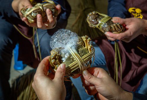 螃蟹养殖技术视频中央七套_螃蟹养殖场视频_高淳螃蟹养殖技术视频