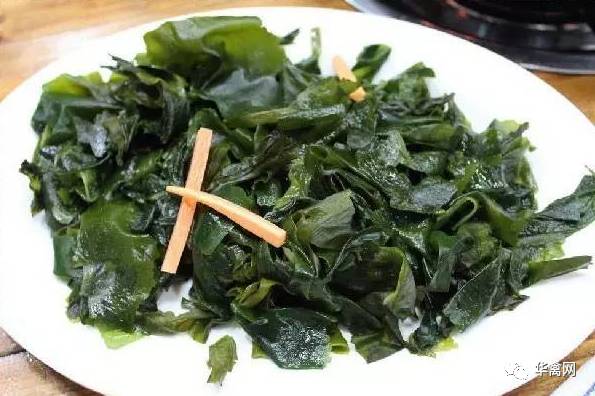 养殖致富经_养殖致富新骗局揭秘电话_养殖业骗局