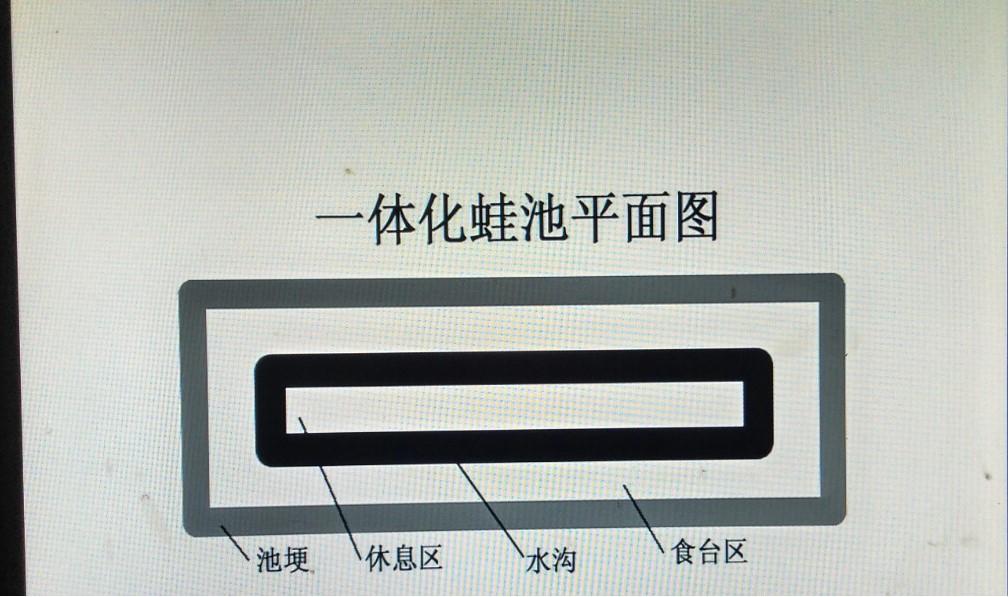 致富经的泥蛙养殖_蛙泥有什么作用_蛙泥养蛙