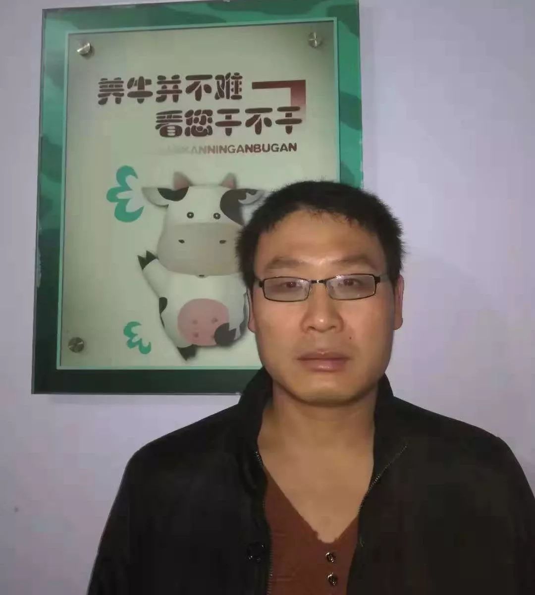 致富养殖奶牛故事视频_致富经养奶牛视频_奶牛养殖致富故事