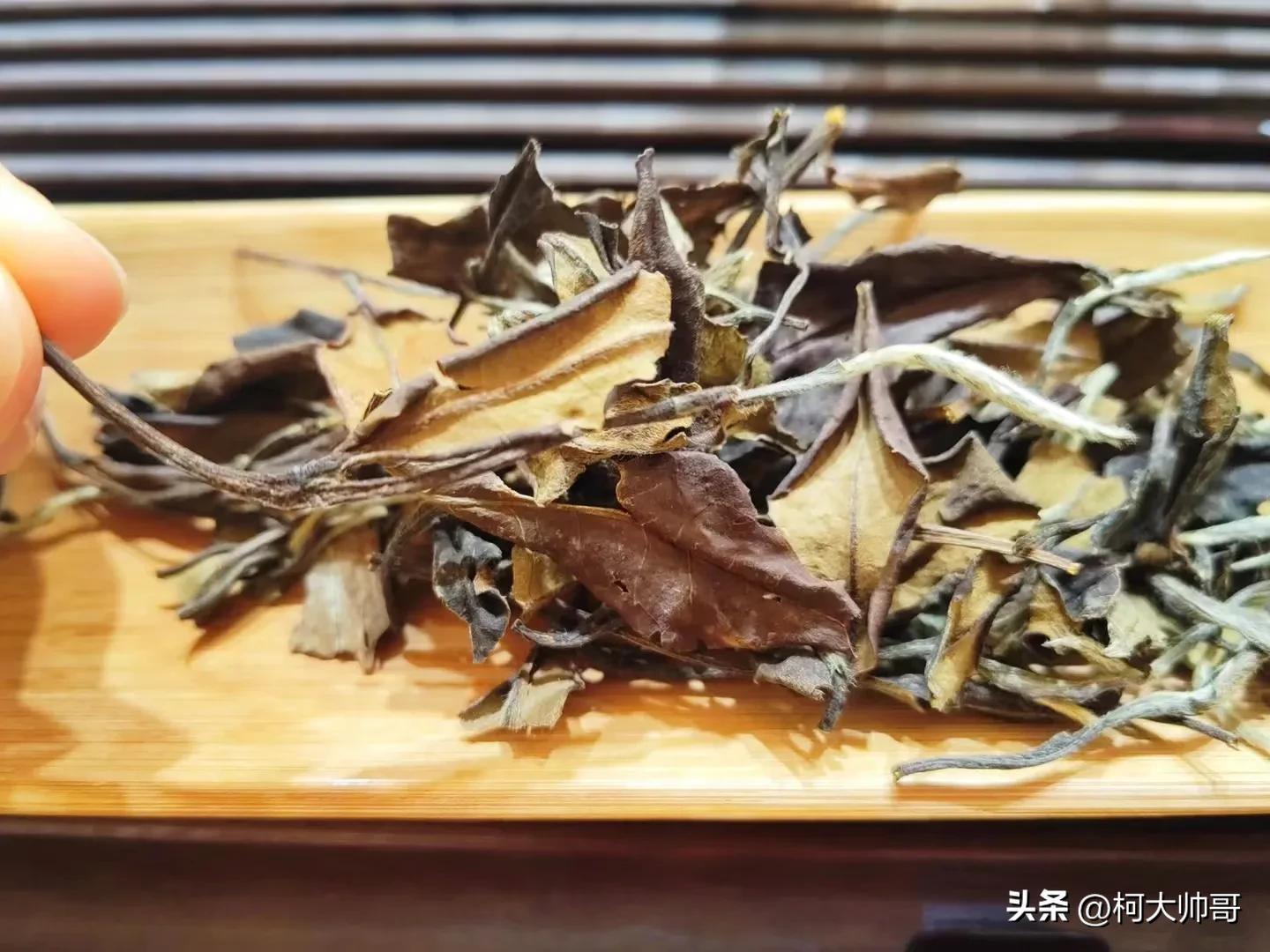 茶叶的商机致富经_经商茶叶_茶的商机