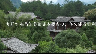 九斤红鸡苗的养殖成本要多少，多久能看到利润？绵阳有养殖鸡苗基地吗？