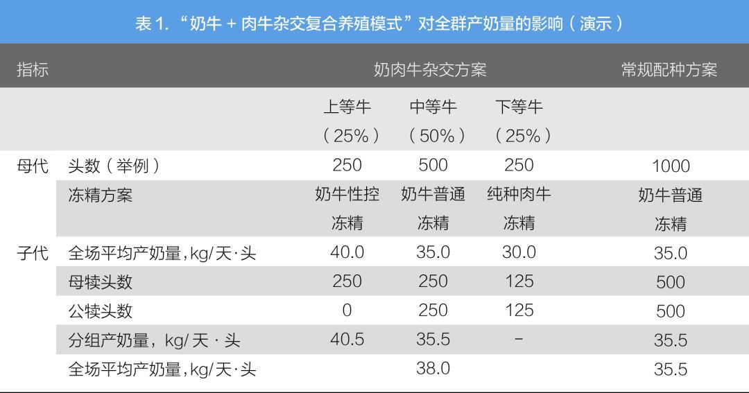 致富养殖奶牛故事视频_奶牛养殖致富故事_致富养殖奶牛故事简介