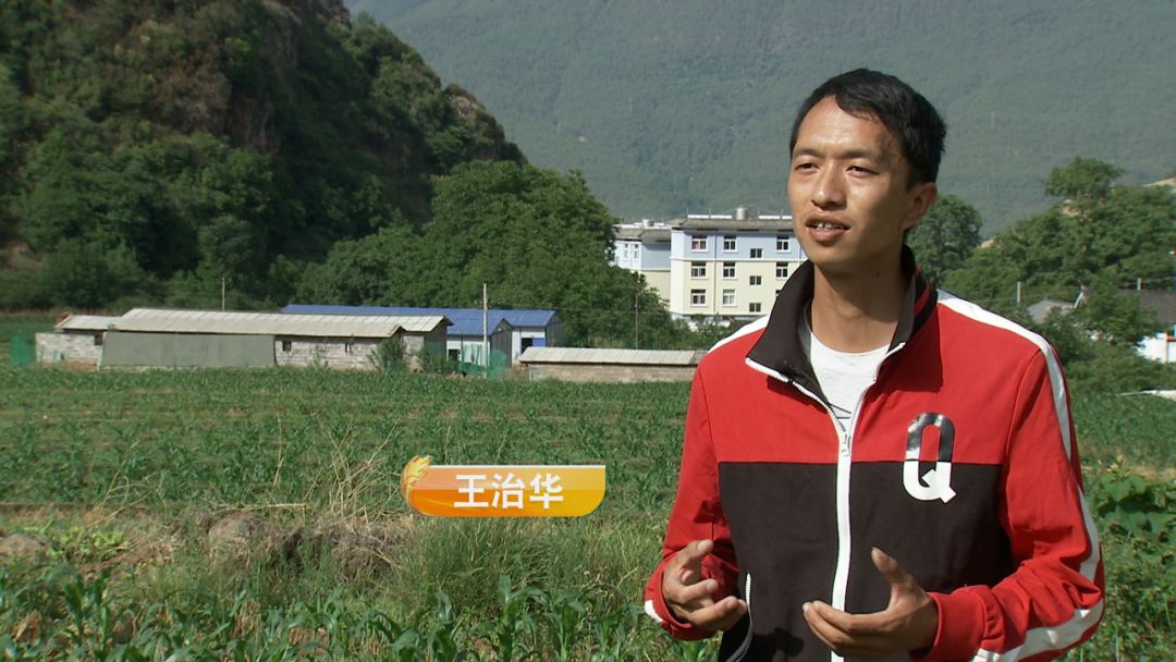 剧透丨养鸡小伙儿的香格里拉