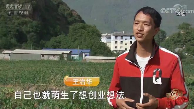 致富经养牛王华银_致富经养鸡王大春_致富经王治华养鸡视频