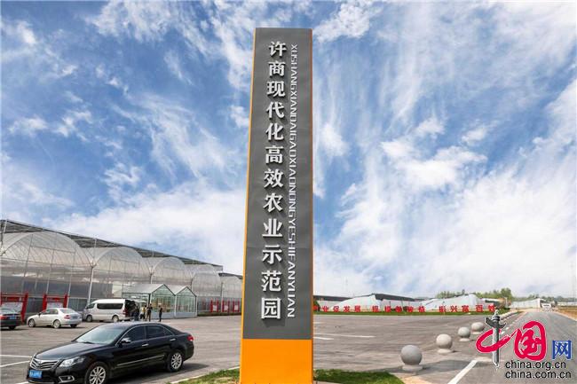 养殖孔雀大棚建造技术_孔雀养殖棚设计图_孔雀建造养殖大棚技术视频