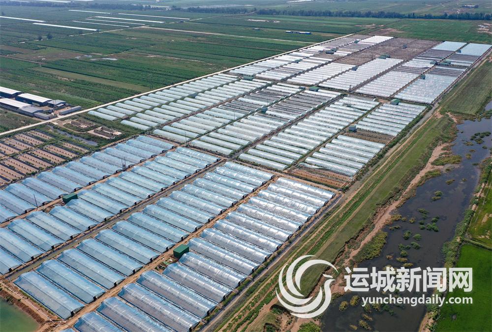 致富养殖大棚青虾视频_大棚养殖青虾致富_温室大棚养殖青虾视频