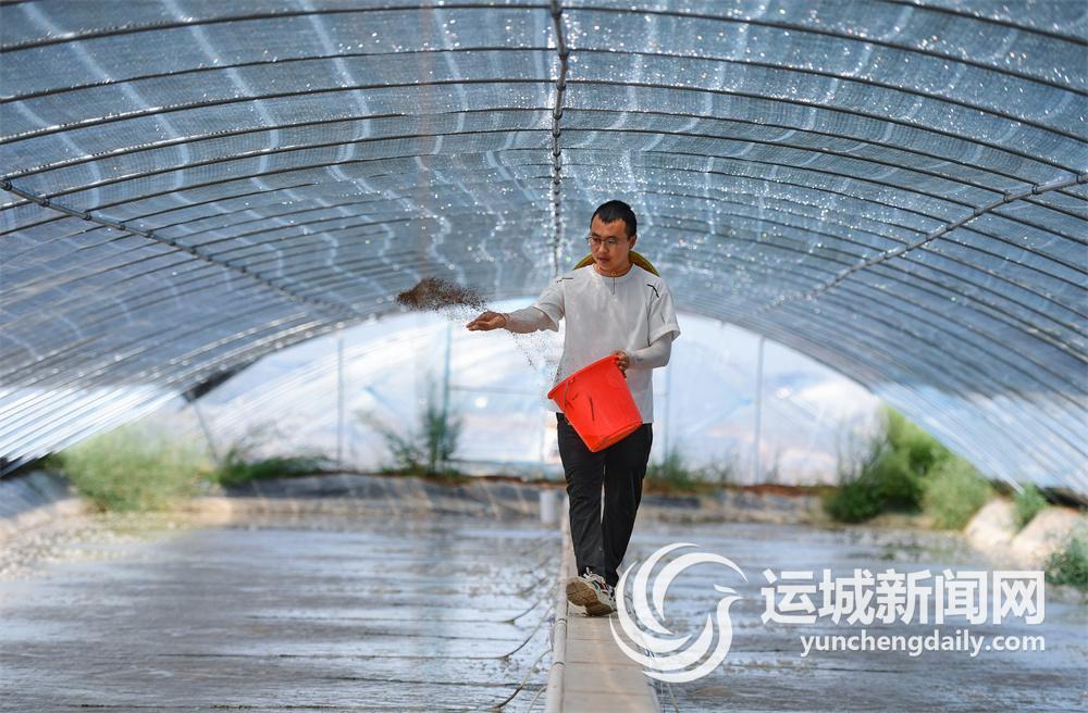 大棚养殖青虾致富_致富养殖大棚青虾视频_温室大棚养殖青虾视频