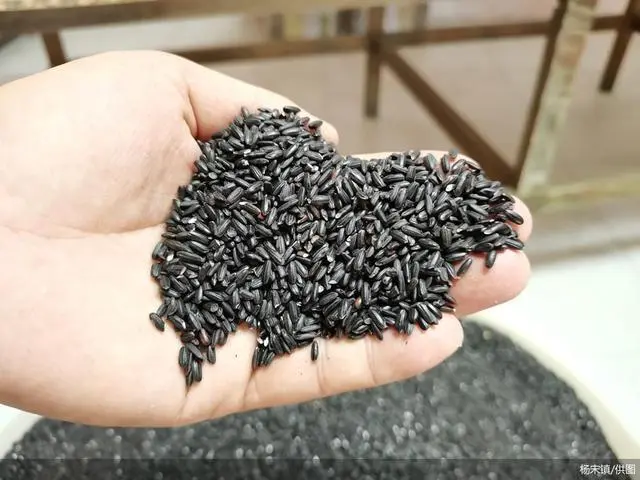 开展技术培训、拓宽销售渠道，北京怀柔杨宋力促家庭农场户增收致富