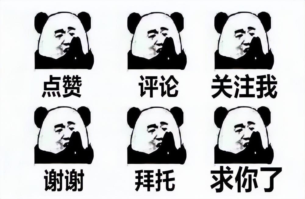 羊种植品种技术有哪些_羊的品种种植技术_种羊的品种