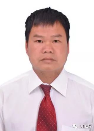 巴马养殖致富_巴马养猪_巴马养牛基地