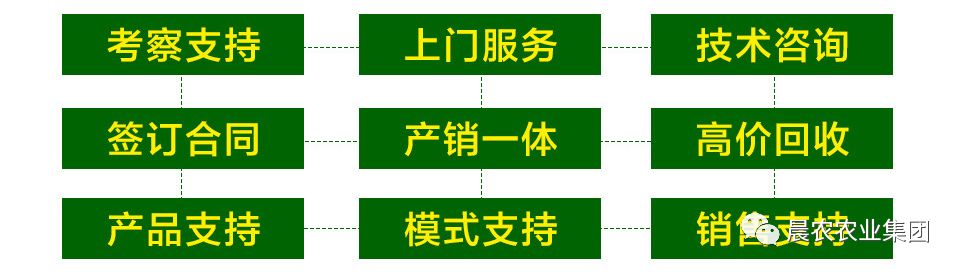 种植白芨致富项目_致富种植白芨图片_种植 白芨 致富