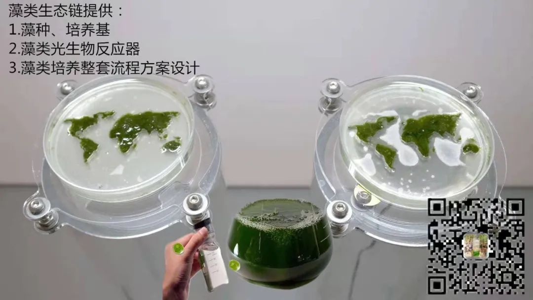 青蟹立体养殖笼_养殖24青蟹笼哪里出售_笼养青蟹养殖技术视频