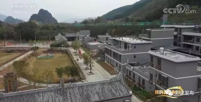 致富经芽苗菜种植视频_种植芽苗菜致富案例_致富案例种植芽苗菜视频