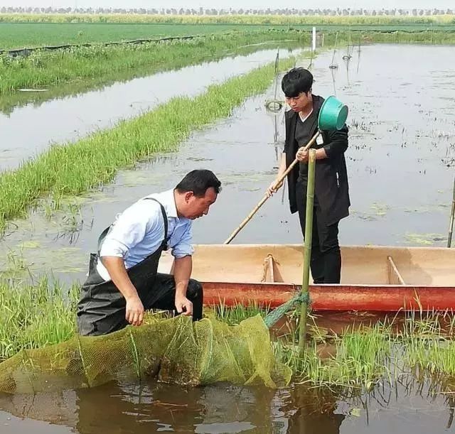 龙虾虾苗养殖技术视频_龙虾养殖技术指导视频_龙虾怎样养殖视频播放