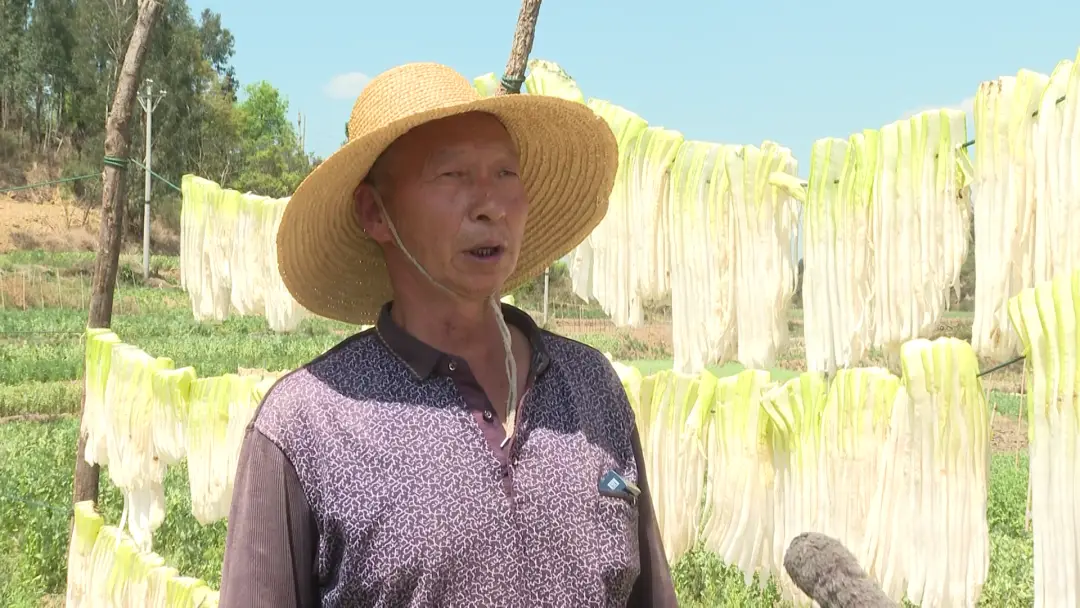 种植胡萝卜的时间和技术_胡罗卜种植行株距_胡萝卜种植技术时间